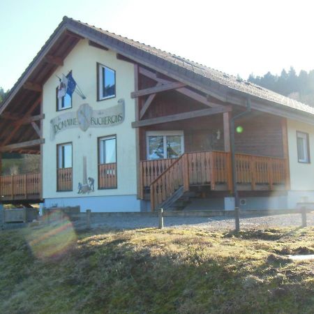Chalet Du Bucheron Apartment Gerardmer Luaran gambar