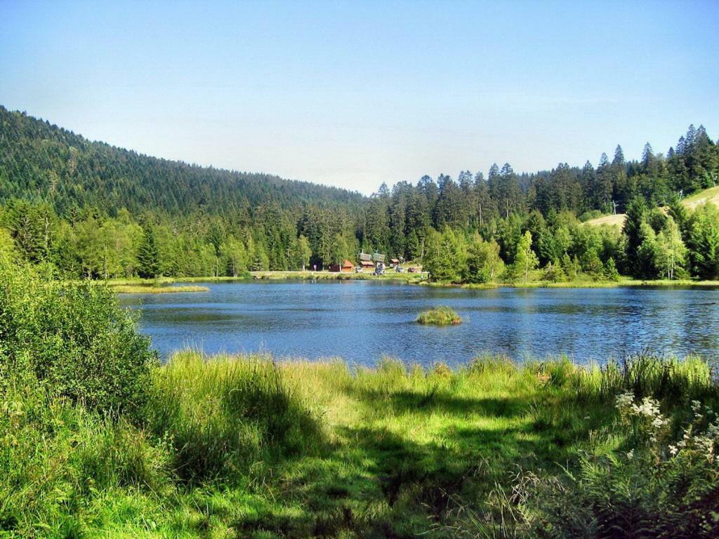 Chalet Du Bucheron Apartment Gerardmer Luaran gambar